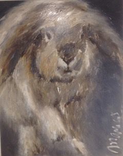 Rabbit - 160/120cm